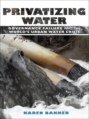 cover image of Privatizing Water